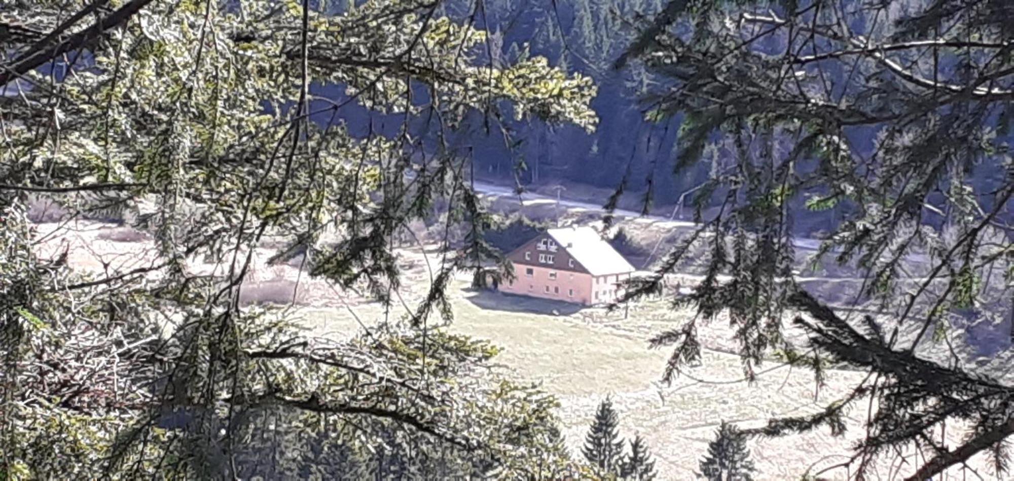 Domaine Des Hauts Viaux La Bresse Exterior photo