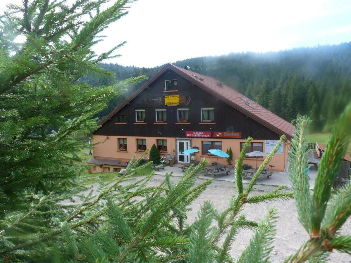 Domaine Des Hauts Viaux La Bresse Exterior photo